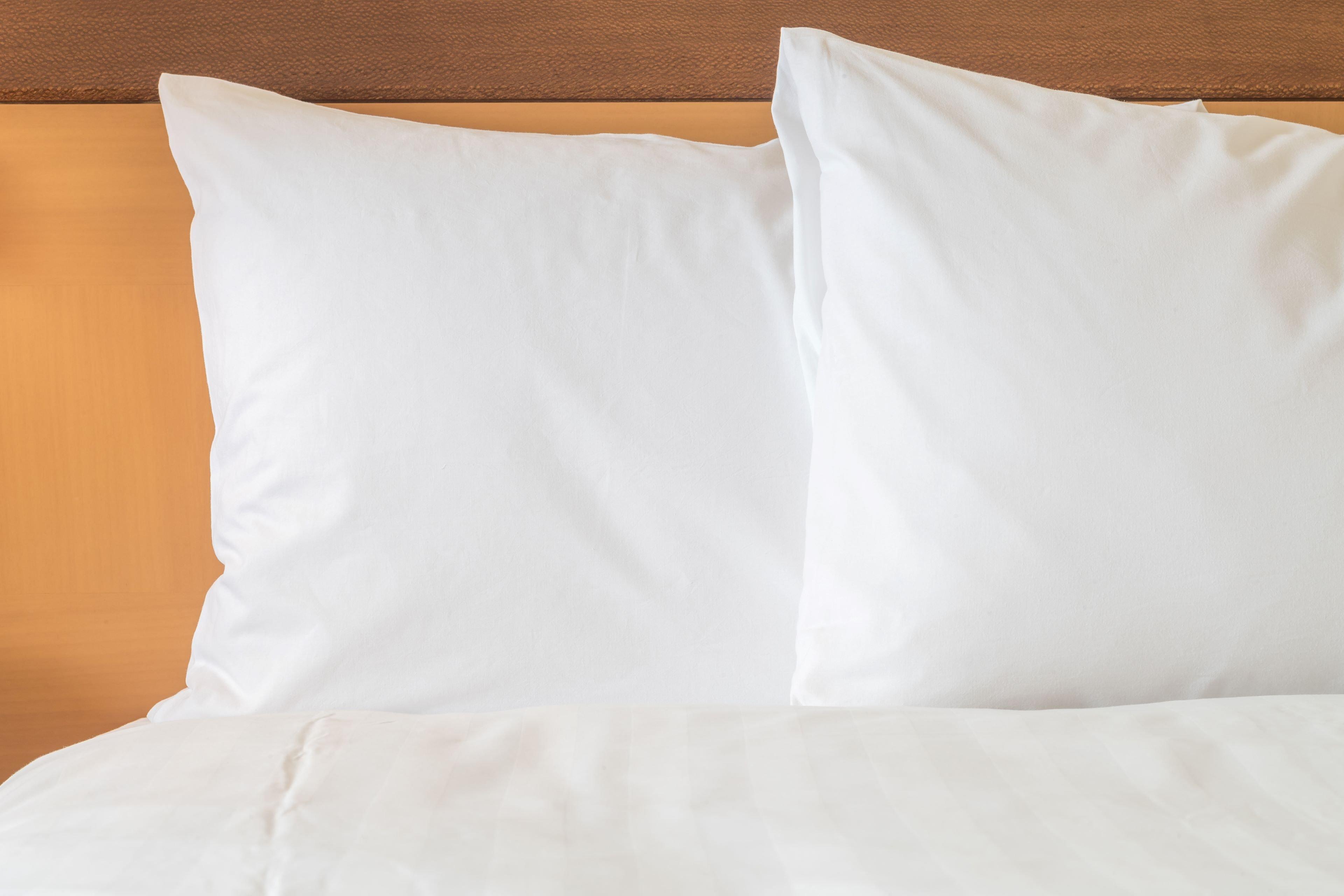 Holiday Inn Express Hotel & Suites Clearwater Us 19 North By Ihg Екстериор снимка